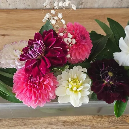 Апартаменты Warburg, 